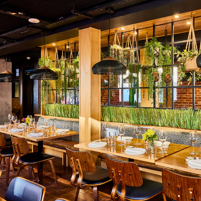 Los Mochis Notting Hill